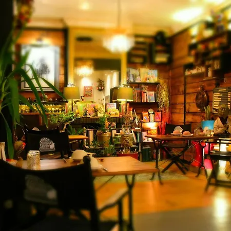 Suivez Le Lapin Blanc - Bb