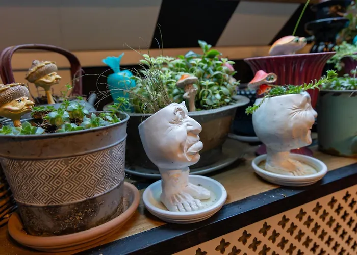 Suivez Le Lapin Blanc - Bb 3*