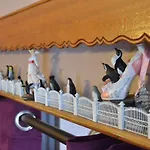 Suivez Le Lapin Blanc Parking Offert 索姆河畔的圣瓦列里