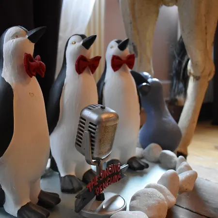 Suivez Le Lapin Blanc-bb D'hotes Bed and breakfast