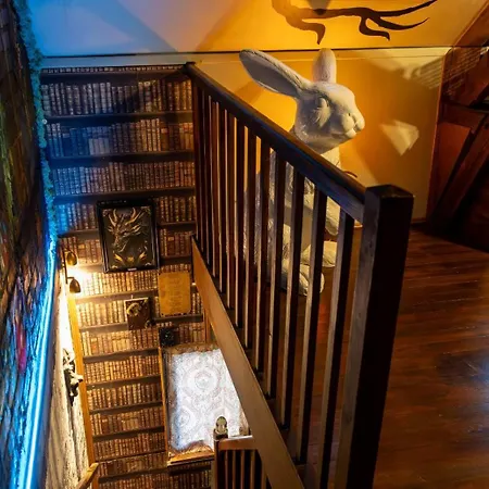 Suivez Le Lapin Blanc-bb D'hotes B&B 3*