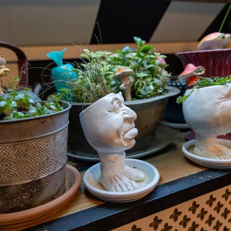 Suivez Le Lapin Blanc-bb D'hotes 3*