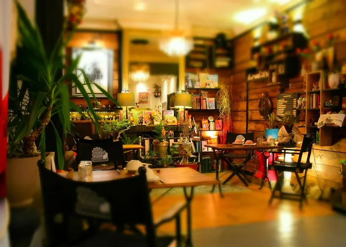 Suivez Le Lapin Blanc